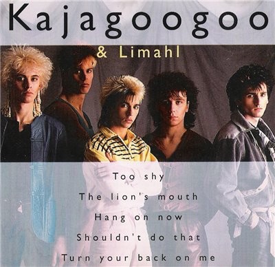 KAJAGOOGOO & LIMAHL - The Best of (1996)