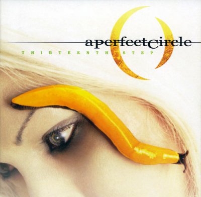 A Perfect Circle - Thirteenth Step 2003