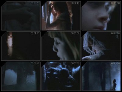 Mylene Farmer -  Music Videos II & III (2000)