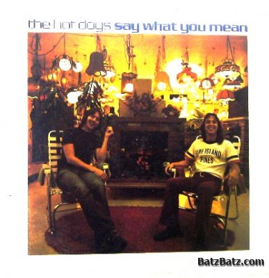 The Hot Dogs - Say What You Mean 1973