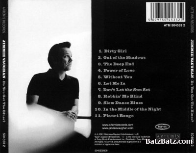 Jimmie Vaughan - Do You Get The Blues? (2001)