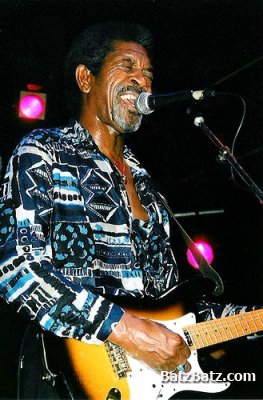 Luther Allison - Blue Streak 1995