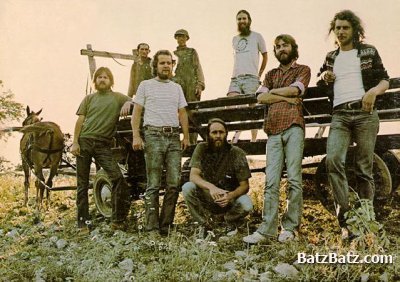 Ozark Mountain Daredevils - The Lost Cabin Sessions (2003)