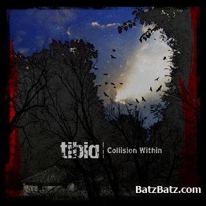 Tibia - Collision Within 2010(Promo)