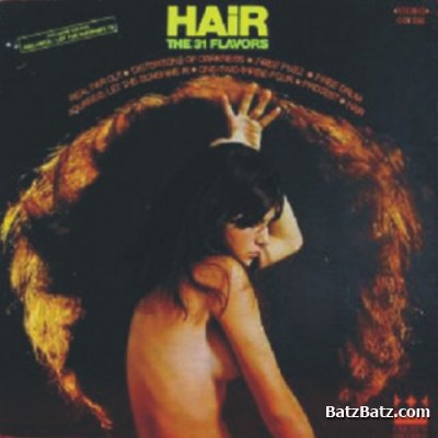 31 Flavors / The Firebirds / Electric Firebirds - Hair / Light My Fire / Dance Party Time 1969