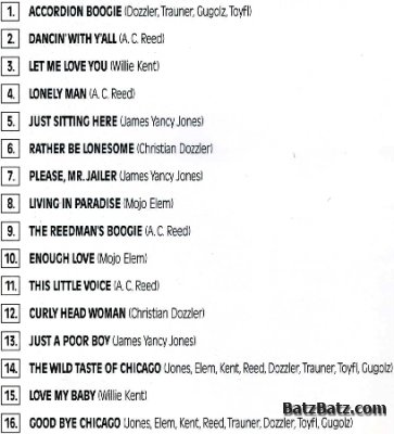 Mojo Blues Band - The Wild Taste Of Chicago 1989