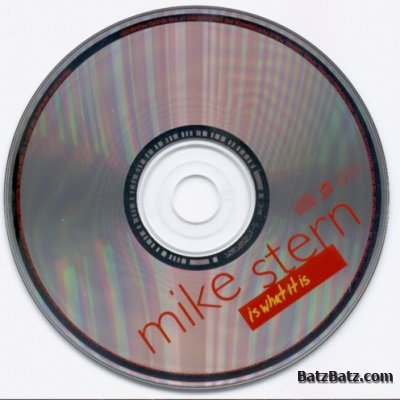 Mike Stern - Is What It Is 1994