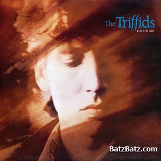 The Triffids - Calenture 1987