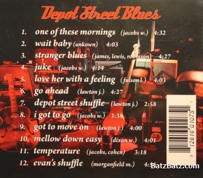 Tip Of The Top - Depot Street Blues (2009)