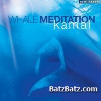 Kamal - Collection (1987-2010)