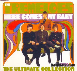 The Tremeloes - Here Comes My Baby 2004