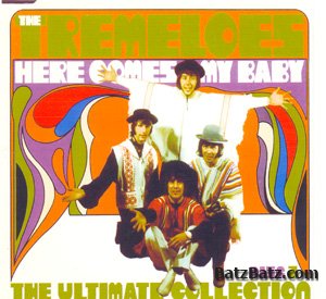 The Tremeloes - Here Comes My Baby 2004