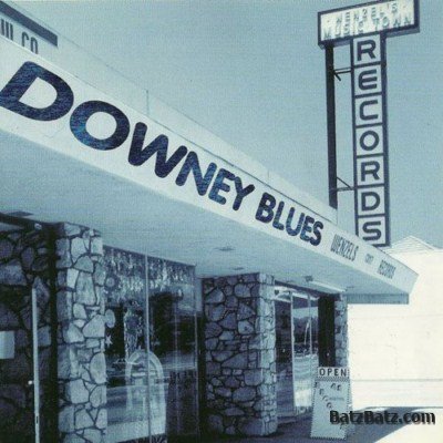 VA - Downey Blues (1997)