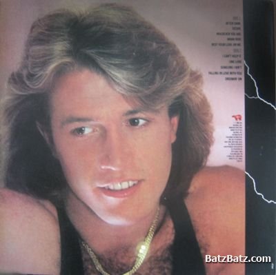 Andy Gibb - After Dark (1980) (Lossless)