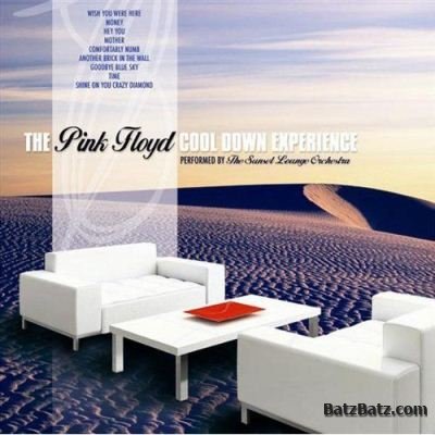The Sunset Lounge Orchestra - The Pink Floyd Cool Down Experience (2007)