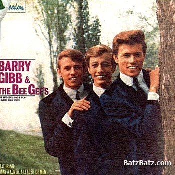 Bee Gees - The Bee Gees Sing And Play 14 Barry Gibb Songs 1965