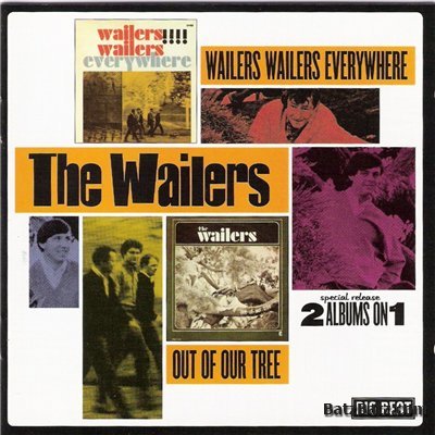 The Wailers - Wailers Wailers Everywhere / Out Of Our Tree 1965 / 1966