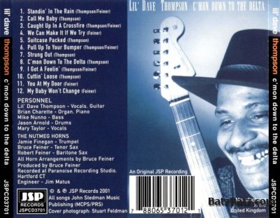 Lil' Dave Thompson - C'Mon Down To The Delta (2002)