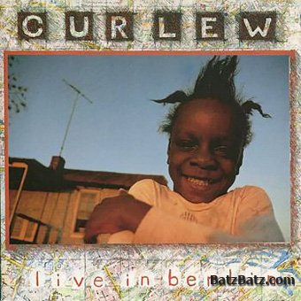 Curlew - Discography (8 albums) (1986-2003)