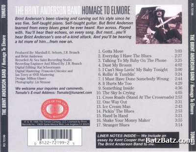 The Brint Anderson Band - Homage To Elmore (1995)