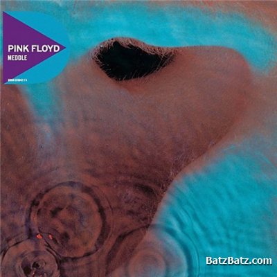 Pink Floyd - Studio Album Box Set (Discovery Edition) [16CD] (2011) (Lossless+MP3)