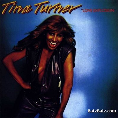 Tina Turner -  (1975-1999) (Lossless + MP3)