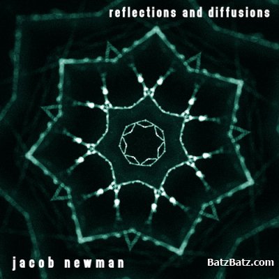 Jacob Newman - Reflections and Diffusions (2010)