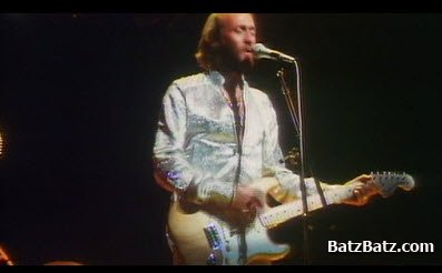 Bee Gees - The Story of...Robin, Barry & Maurice Gibb (2011) DVDRip