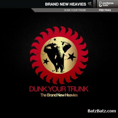 The Brand New Heavies - Dunk Your Trunk (2011)