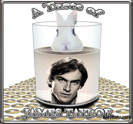 James Taylor - A Taste by Pete Hollow (2012)