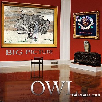 OWL - Big Picture 2011