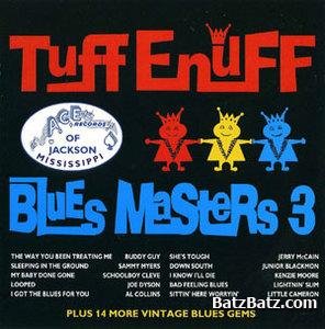 VA - The Ace Blues Masters Vol.1-4 (1998-1999) (Lossless)