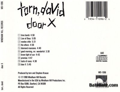 David Torn - Door X (1990) Lossless