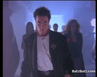 VA - Back to the 80's (2004) 15 X DVD5