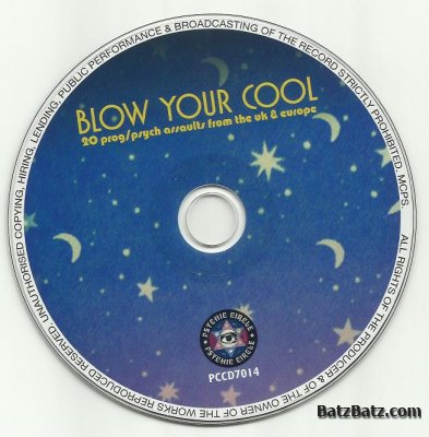 VA - Blow Your Cool: 20 Prog/Psych Assaults From the UK (2007)