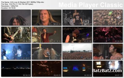 VA - Live At Wacken 2011 (2012) BDRip