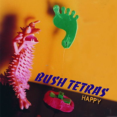 Bush Tetras - Happy (2012)