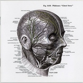 Phideaux - Discography (1992-2012) [lossless]