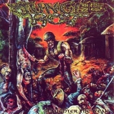 Jungle Rot -  (1996-2013)