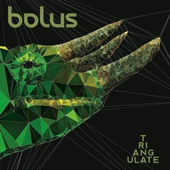 Bolus - Triangulate (2013) LOSSLESS