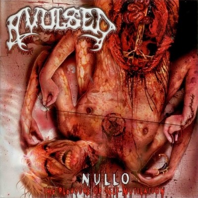 Avulsed - Discography (1994-2013) Lossless