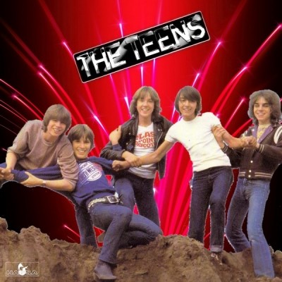 The Teens - Collection Hits 1976-1996 (3CD) (2011) (Bootleg) Lossless