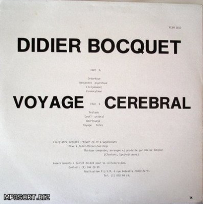 Didier Bocquet - Voyage cerebral 1979