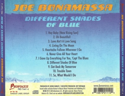 Joe Bonamassa - Different Shades Of Blue 2014 (Lossless)