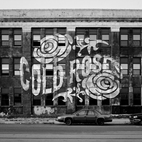 Cold Roses - No Silence in the City 2014