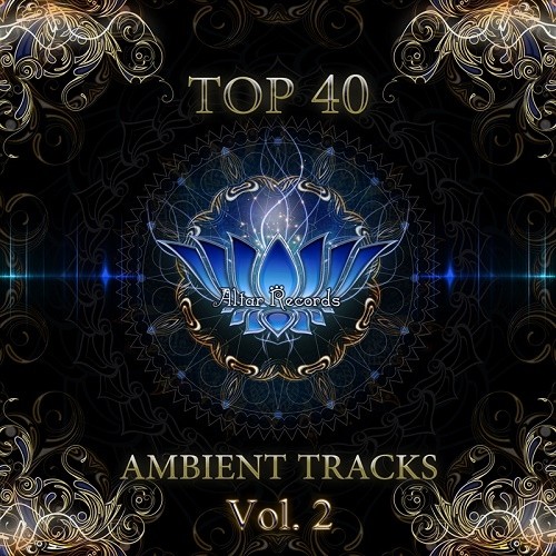 VA - Top 40 Ambient Tracks Vol.2 (2014)