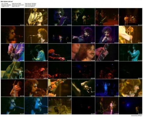 Blue Oyster Cult - Live 1976 (DVDRip)