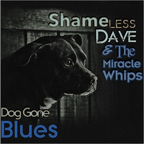 Shameless Dave & The Miracle Whips - Dog Gone Blues  2015