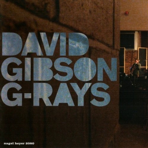 David Gibson - G-Rays 2008