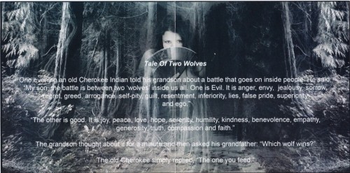 Dream Aria - Fallen Angel 2011